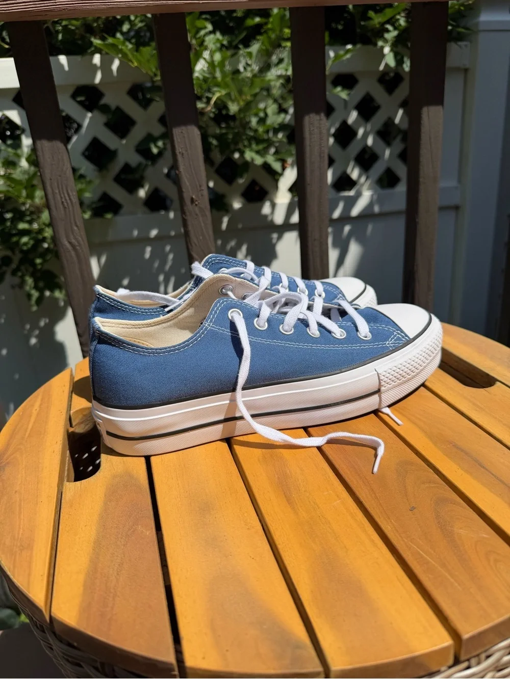 Converse Low Top Sneakers in Navy and White